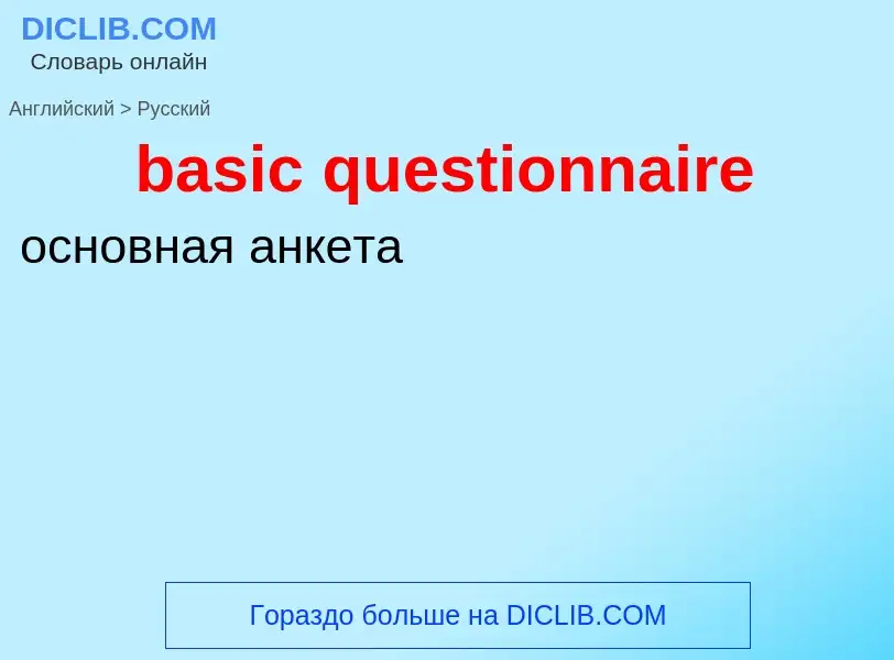 Как переводится basic questionnaire на Русский язык