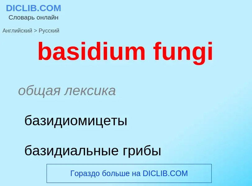 Traduction de &#39basidium fungi&#39 en Russe