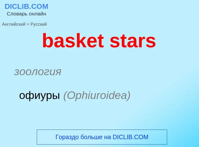 Как переводится basket stars на Русский язык