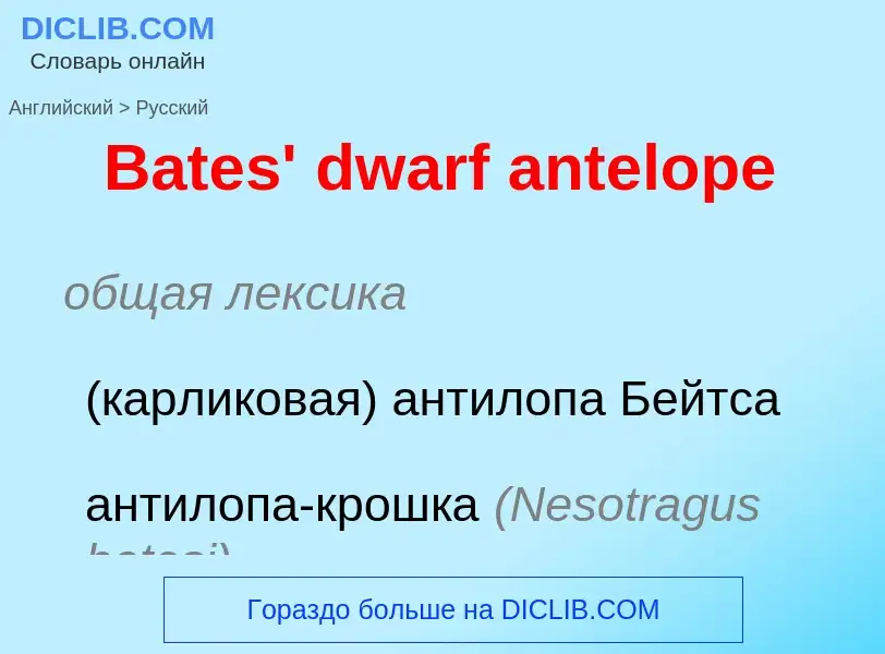 Как переводится Bates' dwarf antelope на Русский язык