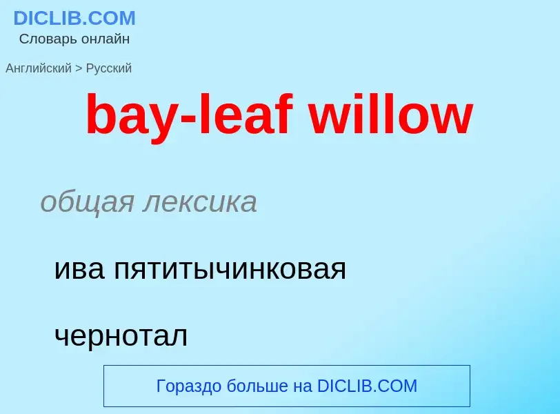 Как переводится bay-leaf willow на Русский язык