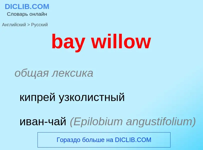 What is the Russian for bay willow? Translation of &#39bay willow&#39 to Russian