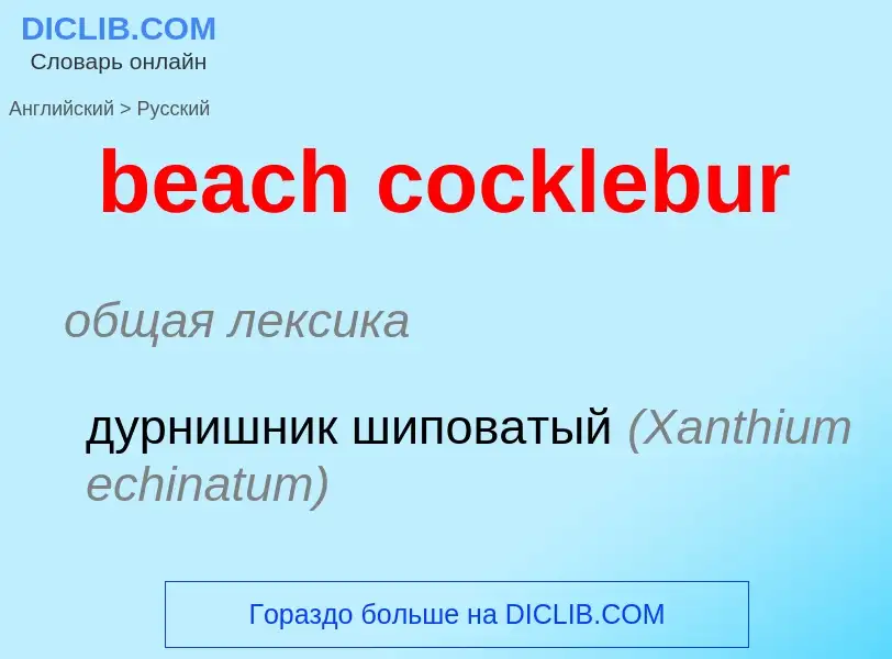 What is the Russian for beach cocklebur? Translation of &#39beach cocklebur&#39 to Russian