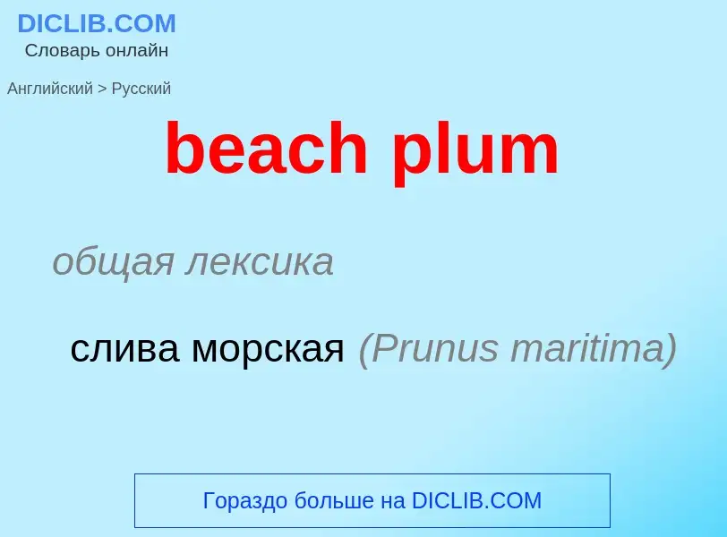 Como se diz beach plum em Russo? Tradução de &#39beach plum&#39 em Russo