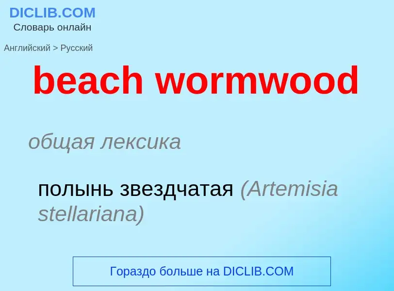 Μετάφραση του &#39beach wormwood&#39 σε Ρωσικά