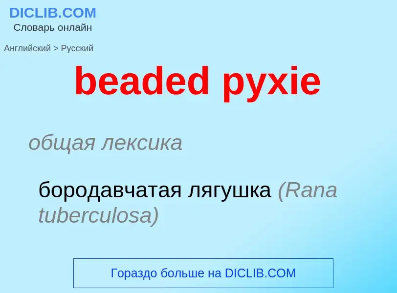 Μετάφραση του &#39beaded pyxie&#39 σε Ρωσικά