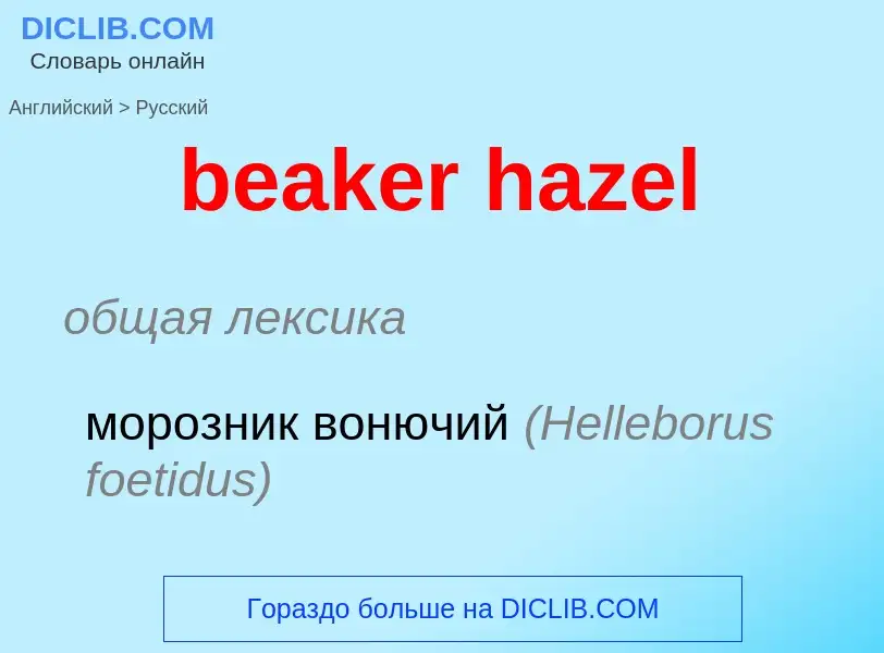 Как переводится beaker hazel на Русский язык