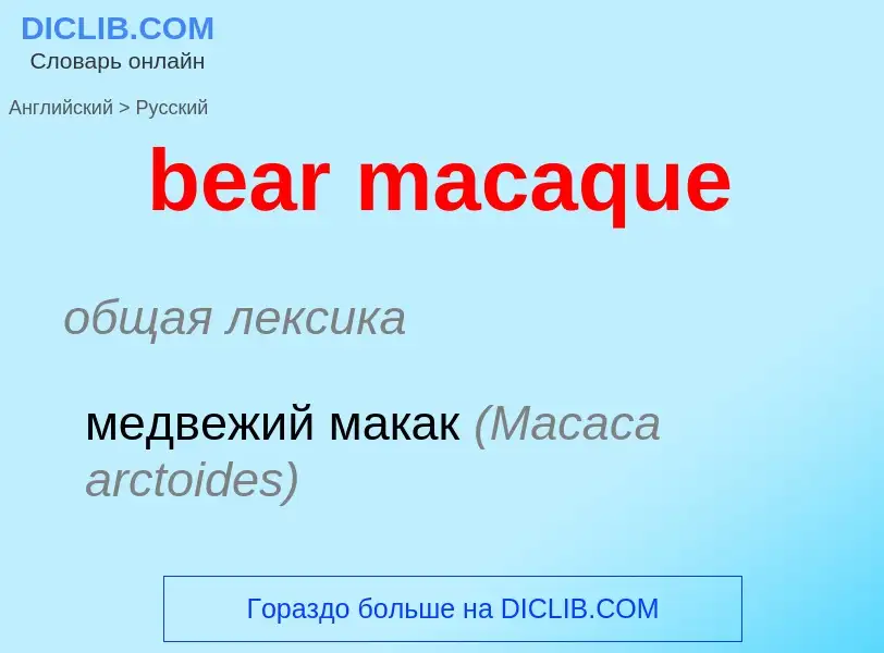 What is the الروسية for bear macaque? Translation of &#39bear macaque&#39 to الروسية