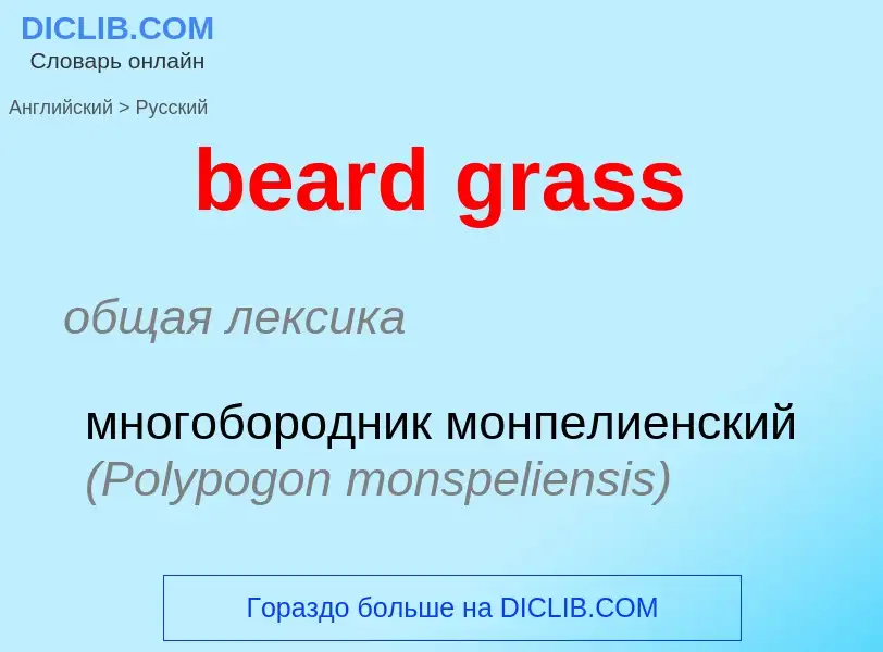 ¿Cómo se dice beard grass en Ruso? Traducción de &#39beard grass&#39 al Ruso