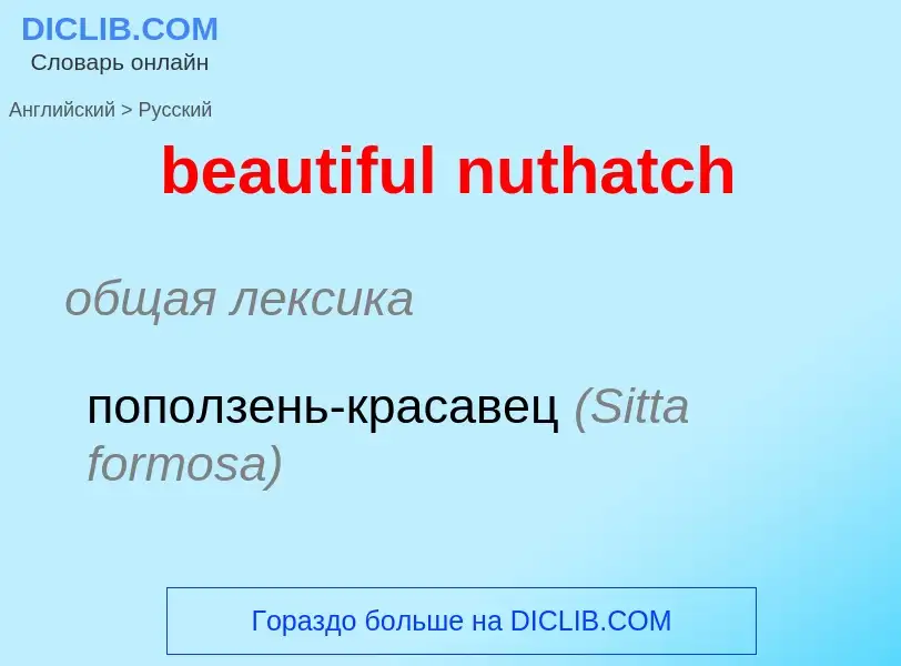 Как переводится beautiful nuthatch на Русский язык