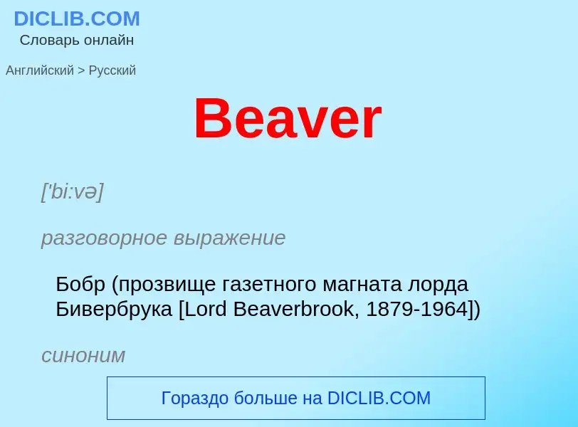 Как переводится Beaver на Русский язык