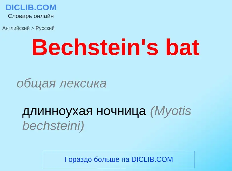 Как переводится Bechstein's bat на Русский язык