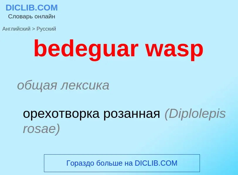 Μετάφραση του &#39bedeguar wasp&#39 σε Ρωσικά