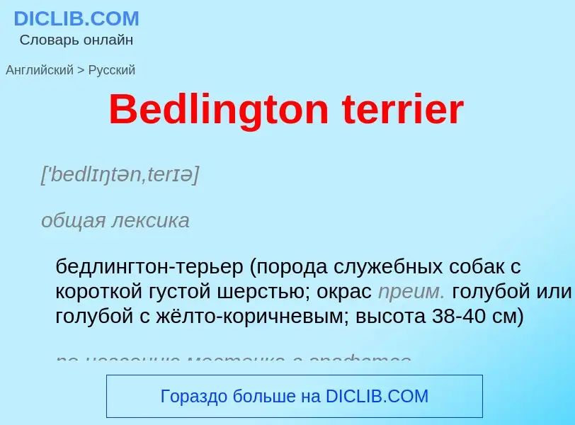 Как переводится Bedlington terrier на Русский язык