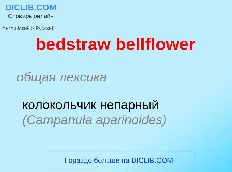 Como se diz bedstraw bellflower em Russo? Tradução de &#39bedstraw bellflower&#39 em Russo