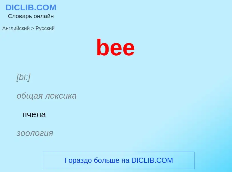 Как переводится bee на Русский язык