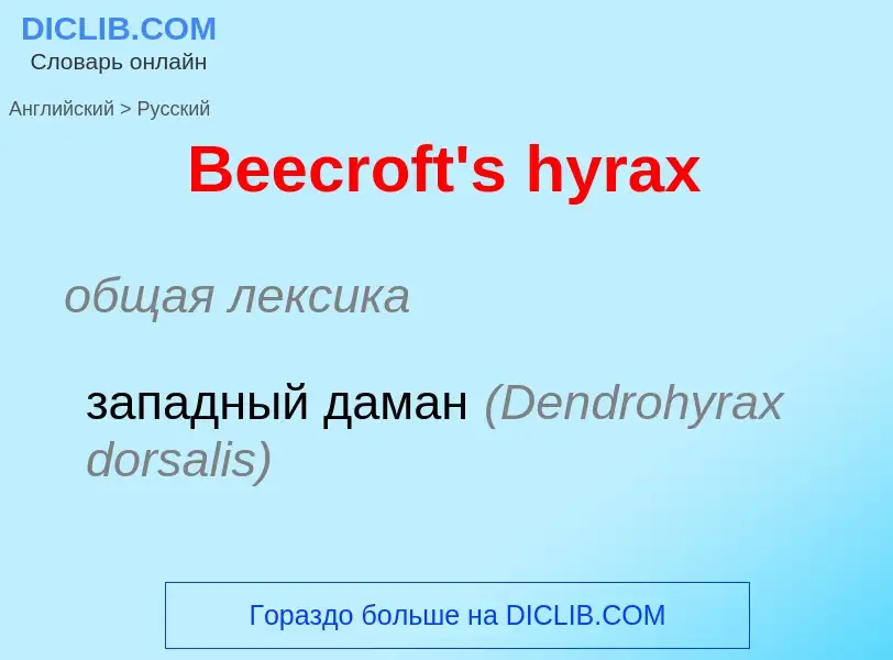 Как переводится Beecroft's hyrax на Русский язык