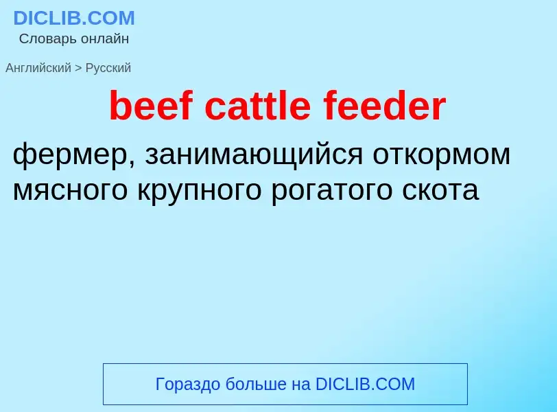 Как переводится beef cattle feeder на Русский язык