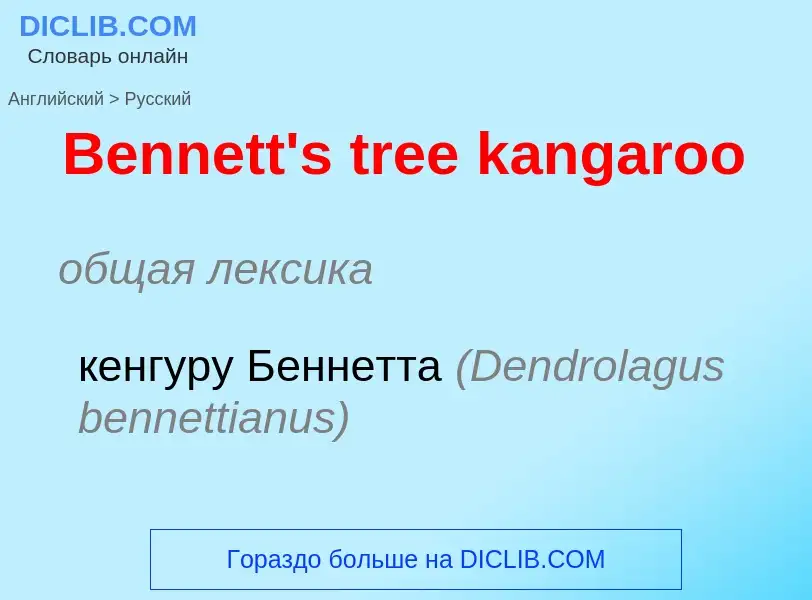 Как переводится Bennett's tree kangaroo на Русский язык