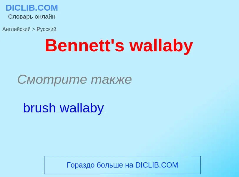 Как переводится Bennett's wallaby на Русский язык