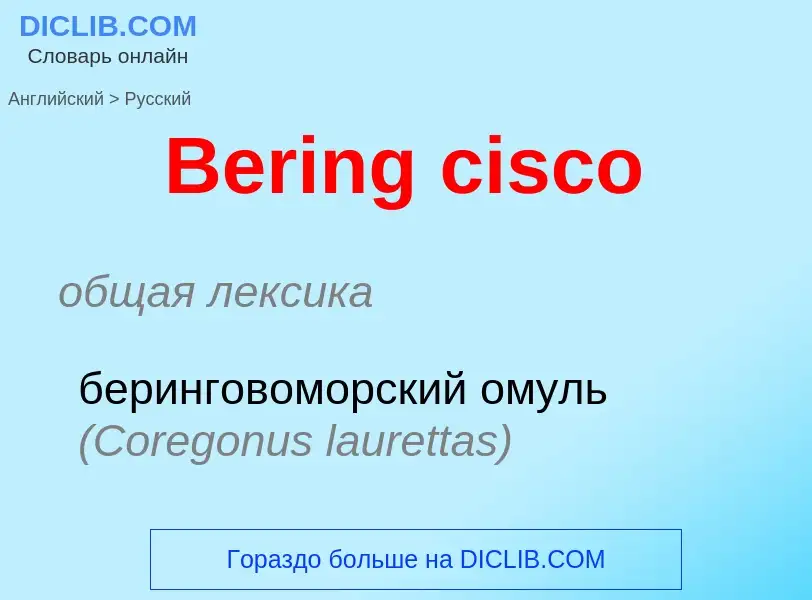 ¿Cómo se dice Bering cisco en Ruso? Traducción de &#39Bering cisco&#39 al Ruso