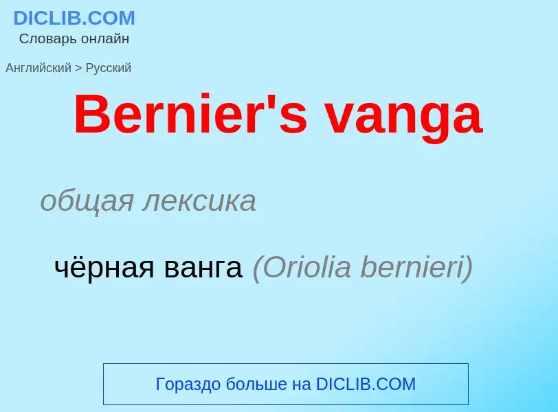 Traduzione di &#39Bernier's vanga&#39 in Russo