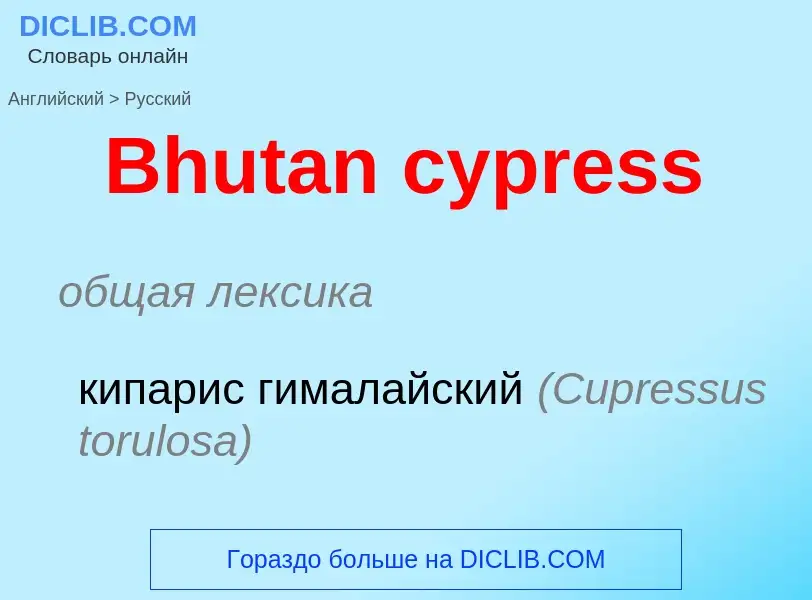 Как переводится Bhutan cypress на Русский язык