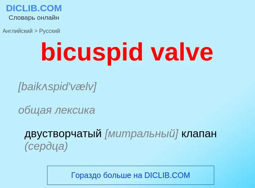 ¿Cómo se dice bicuspid valve en Ruso? Traducción de &#39bicuspid valve&#39 al Ruso