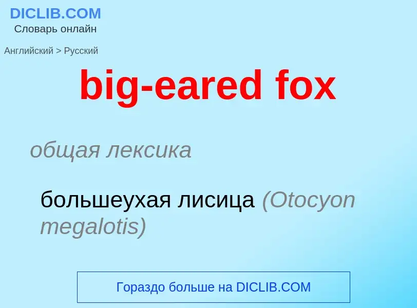 Vertaling van &#39big-eared fox&#39 naar Russisch