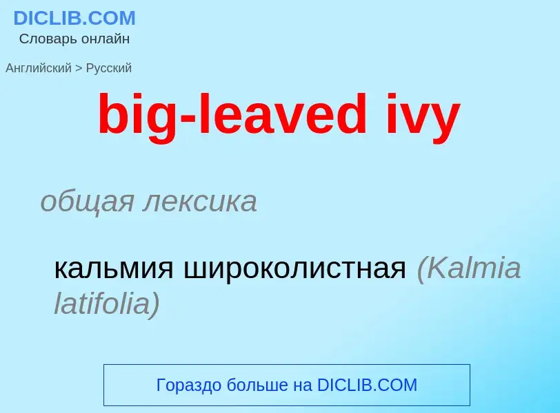 Vertaling van &#39big-leaved ivy&#39 naar Russisch