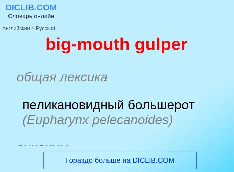 Vertaling van &#39big-mouth gulper&#39 naar Russisch