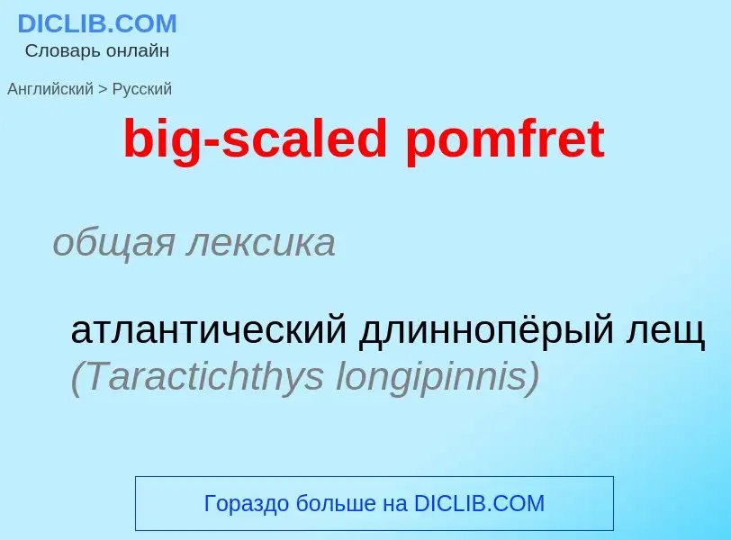 Как переводится big-scaled pomfret на Русский язык