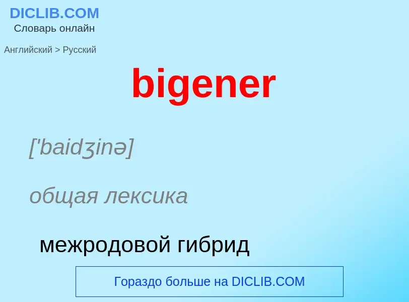Как переводится bigener на Русский язык