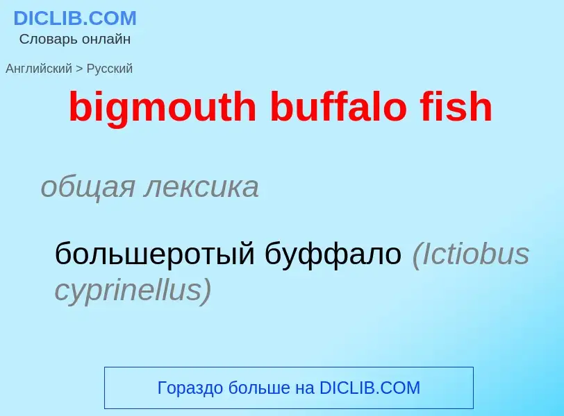 Как переводится bigmouth buffalo fish на Русский язык