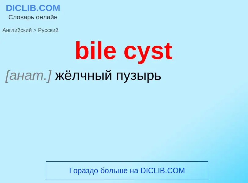 Как переводится bile cyst на Русский язык