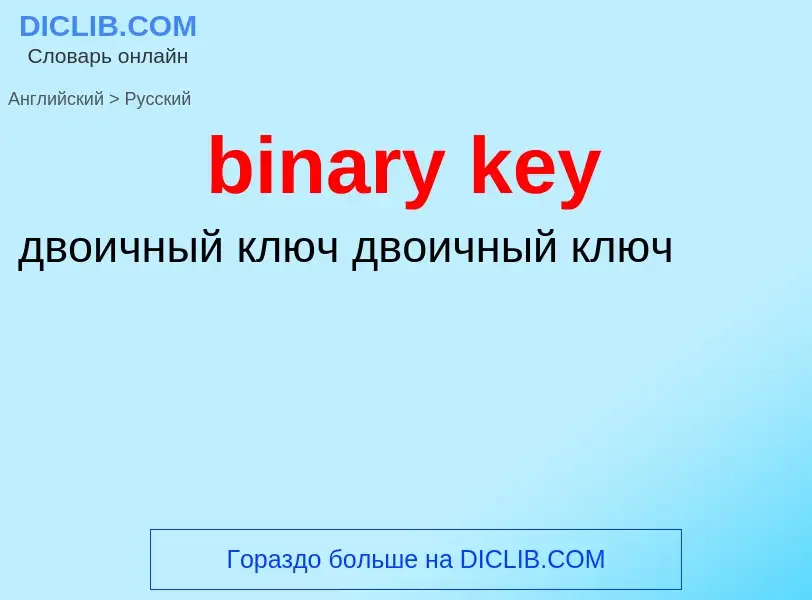 Как переводится binary key на Русский язык