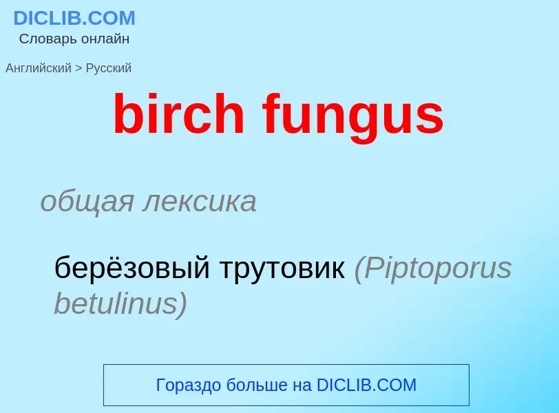 Μετάφραση του &#39birch fungus&#39 σε Ρωσικά