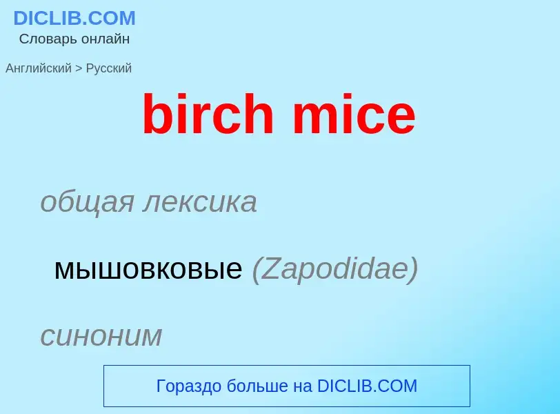 ¿Cómo se dice birch mice en Ruso? Traducción de &#39birch mice&#39 al Ruso