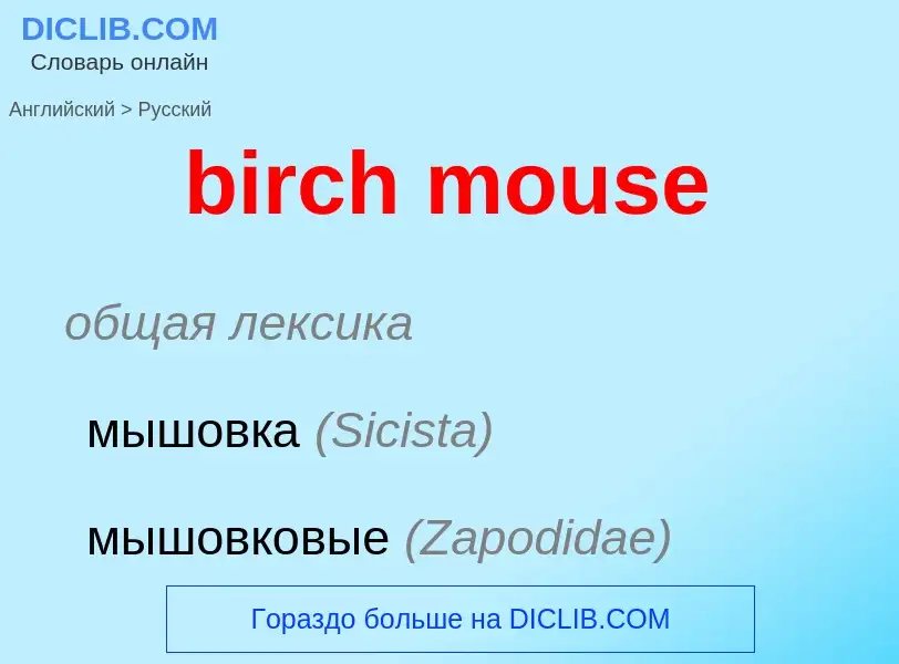 Como se diz birch mouse em Russo? Tradução de &#39birch mouse&#39 em Russo