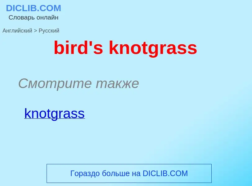 Μετάφραση του &#39bird's knotgrass&#39 σε Ρωσικά