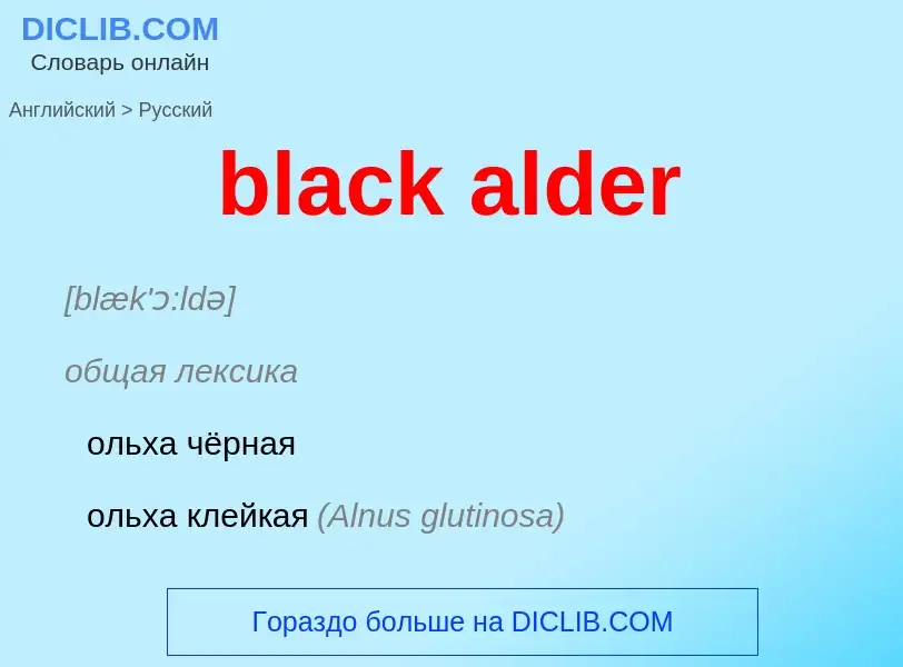 Vertaling van &#39black alder&#39 naar Russisch