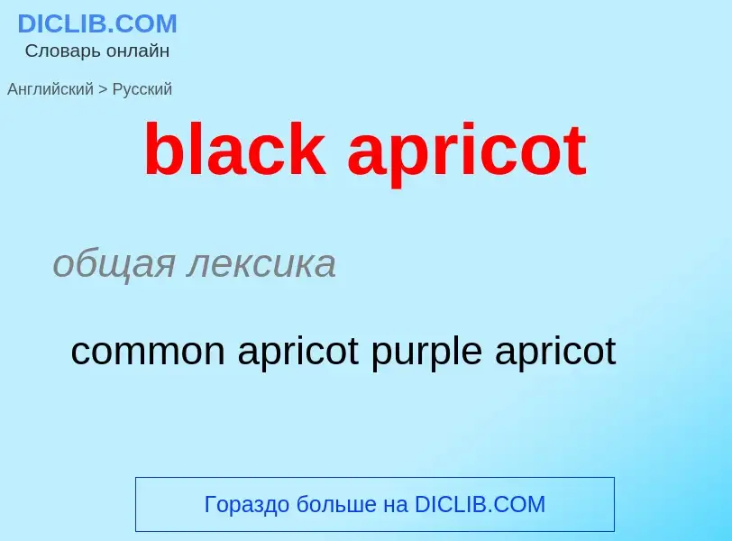 Μετάφραση του &#39black apricot&#39 σε Ρωσικά