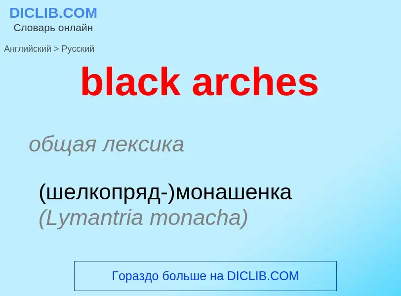 Как переводится black arches на Русский язык