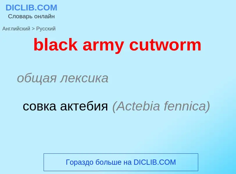 Как переводится black army cutworm на Русский язык