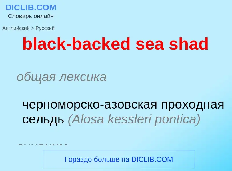 What is the Russian for black-backed sea shad? Translation of &#39black-backed sea shad&#39 to Russi