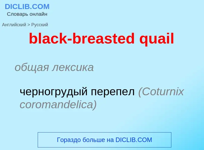 Μετάφραση του &#39black-breasted quail&#39 σε Ρωσικά