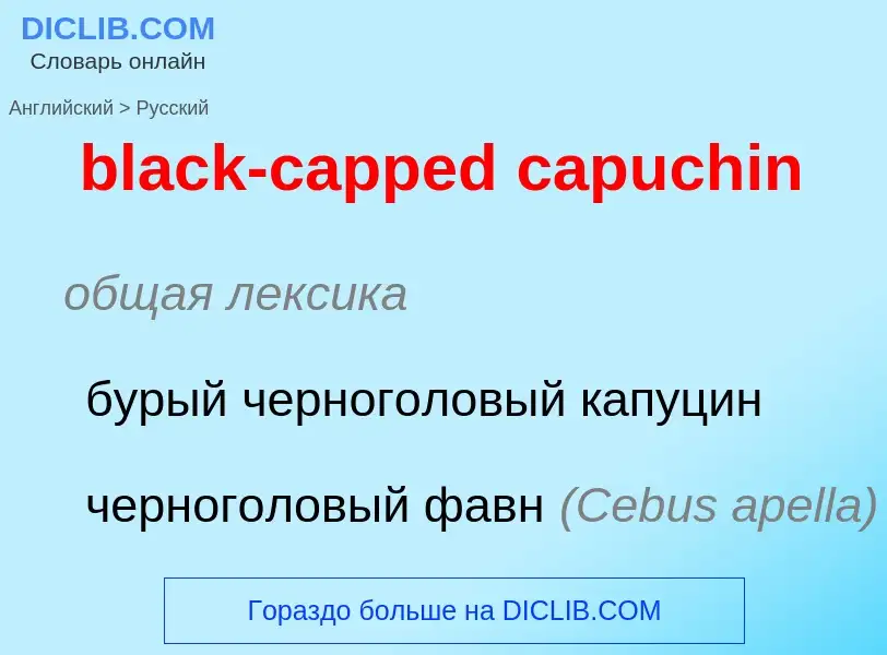 Μετάφραση του &#39black-capped capuchin&#39 σε Ρωσικά