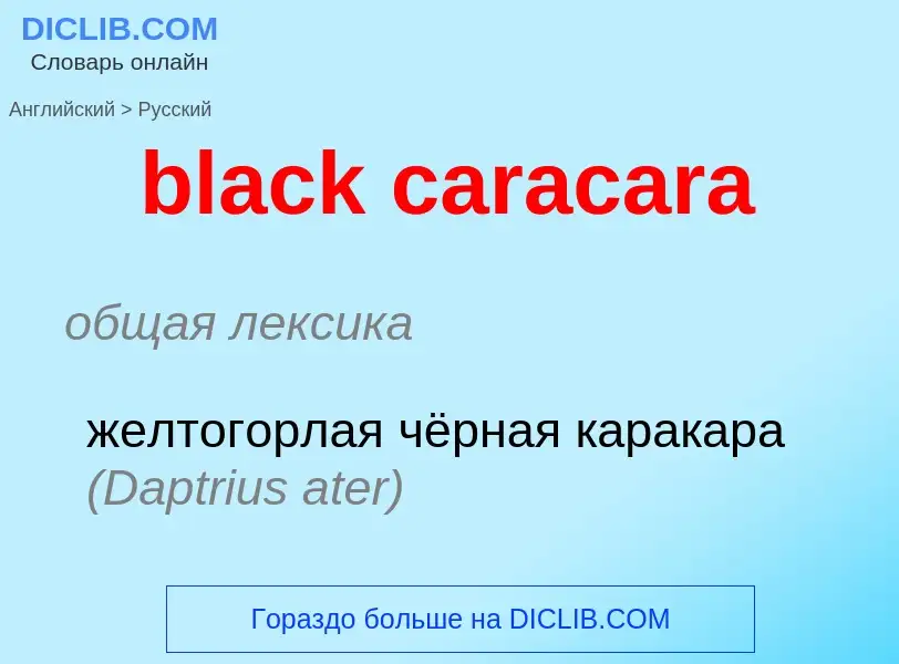 Как переводится black caracara на Русский язык