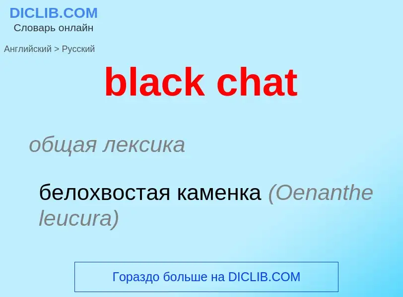 Vertaling van &#39black chat&#39 naar Russisch