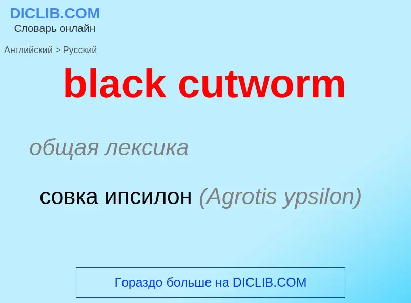 Как переводится black cutworm на Русский язык